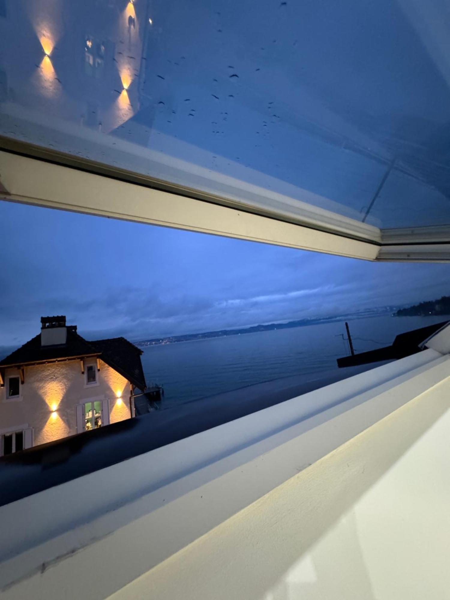 Le Cocon Du Leman Un Espace Cosy Ou Vous Retrouver アンフィオン・レ・バン エクステリア 写真