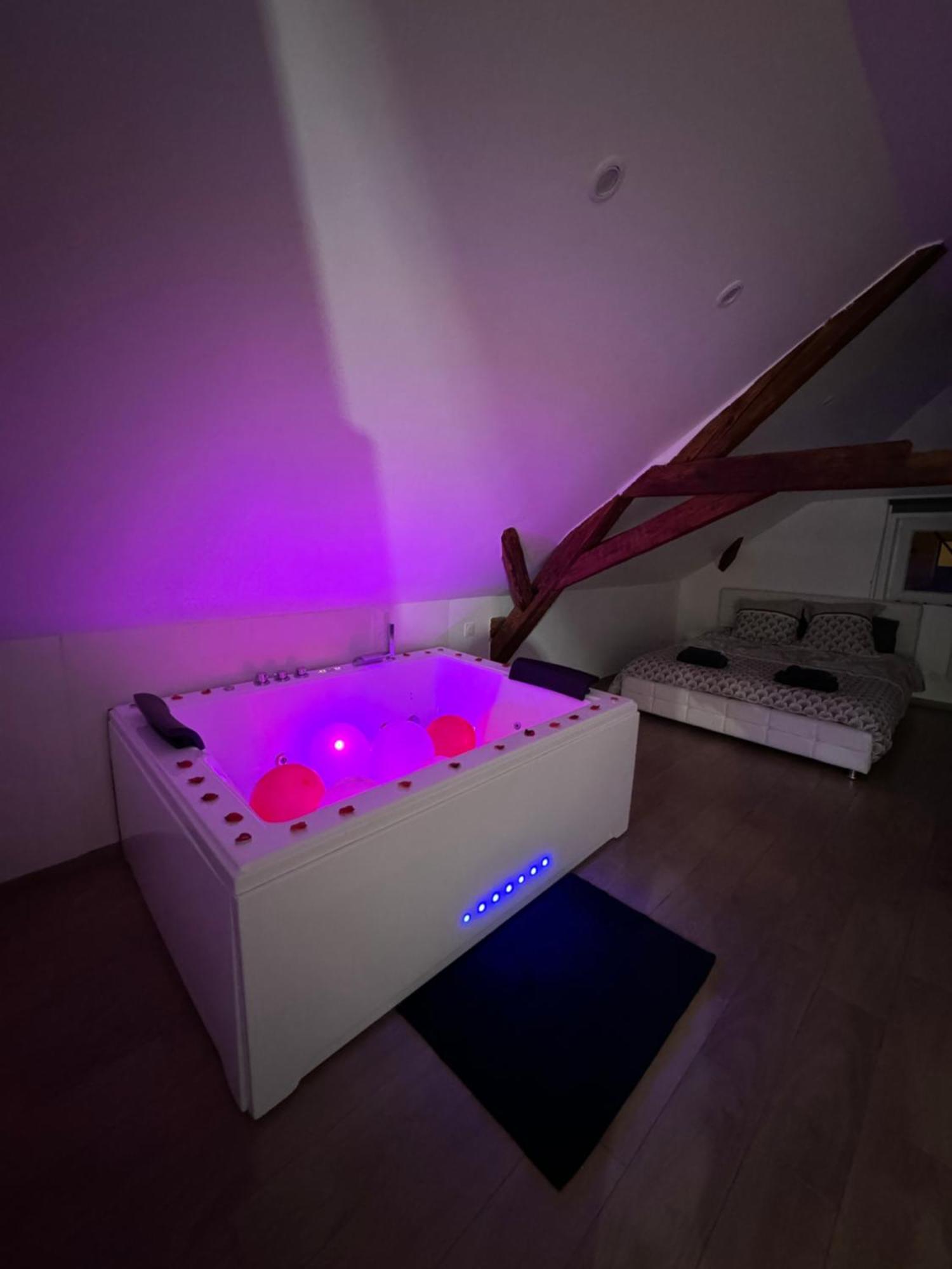 Le Cocon Du Leman Un Espace Cosy Ou Vous Retrouver アンフィオン・レ・バン エクステリア 写真